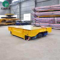 Large Capacity 20 Ton Metallurgy Factory Custom Trolley